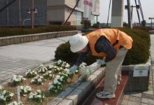 花を植える人間の画像