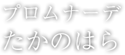 プロムナーデたかのはら