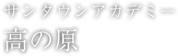 サンタウンアカデミー高の原