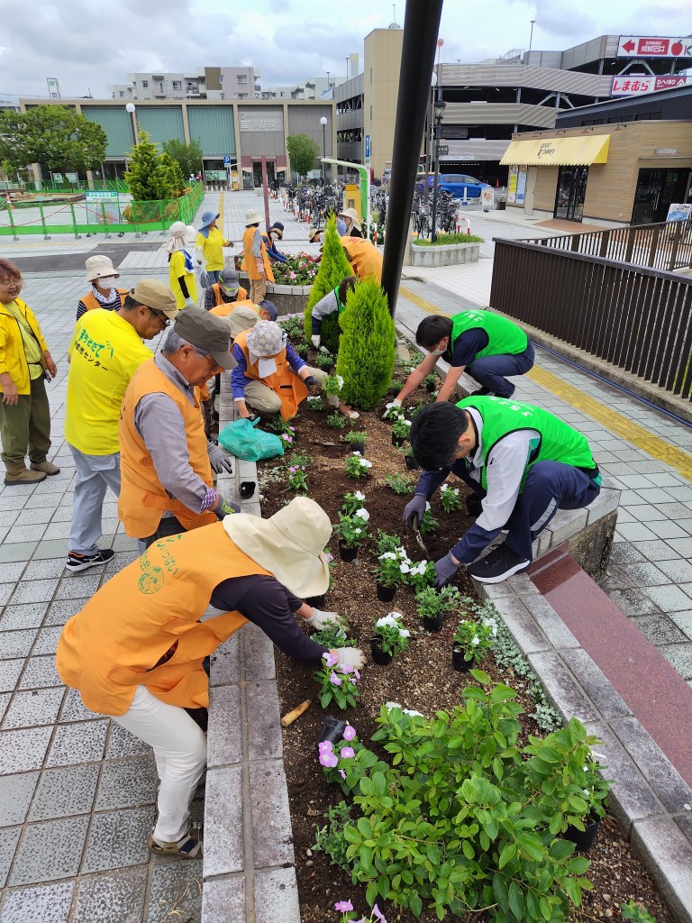 R8春の花植え2